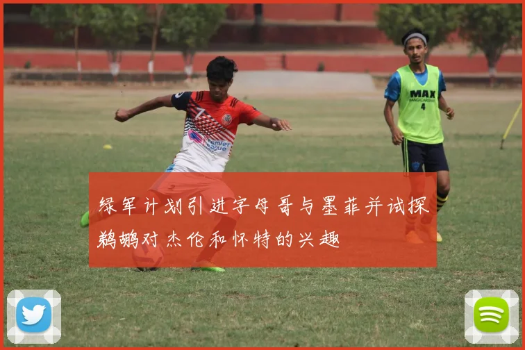 绿军计划引进字母哥与墨菲并试探鹈鹕对杰伦和怀特的兴趣