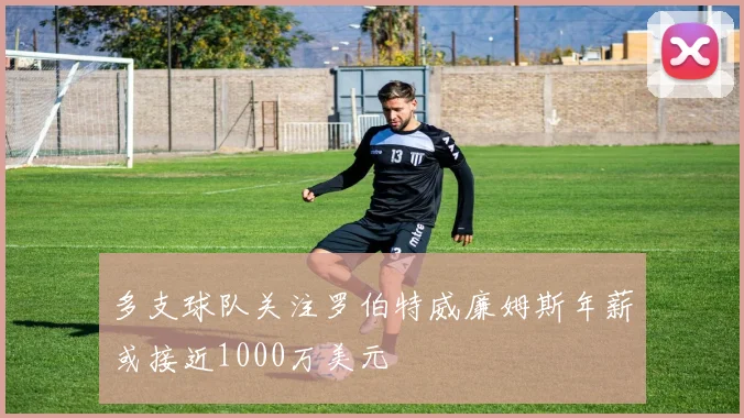 多支球队关注罗伯特威廉姆斯年薪或接近1000万美元